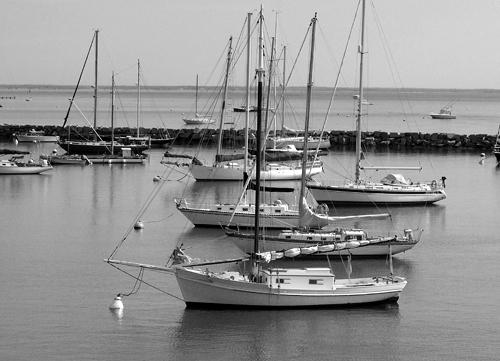 Boats in a Harbor